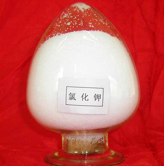 Potasyum Klorür (KCl)-Toz
